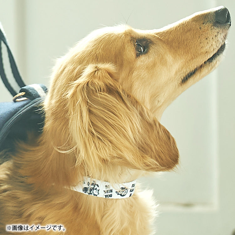 Delivery scheduled for mid-July *Pet collar (Be With You/Pattern) 1425037600 <Pre-order item>