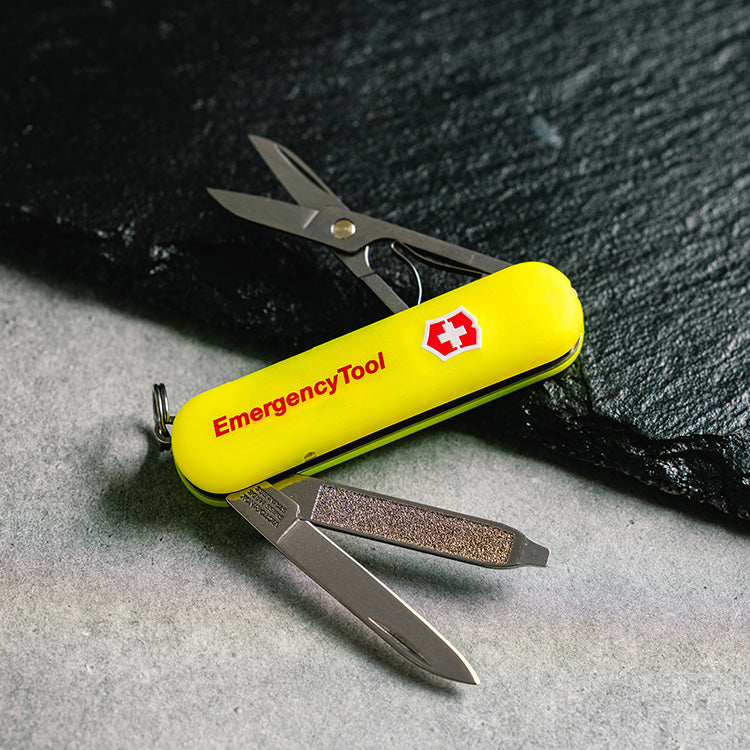 VICTORINOX シグネチャーライト（ニョロニョロ）【公式限定】