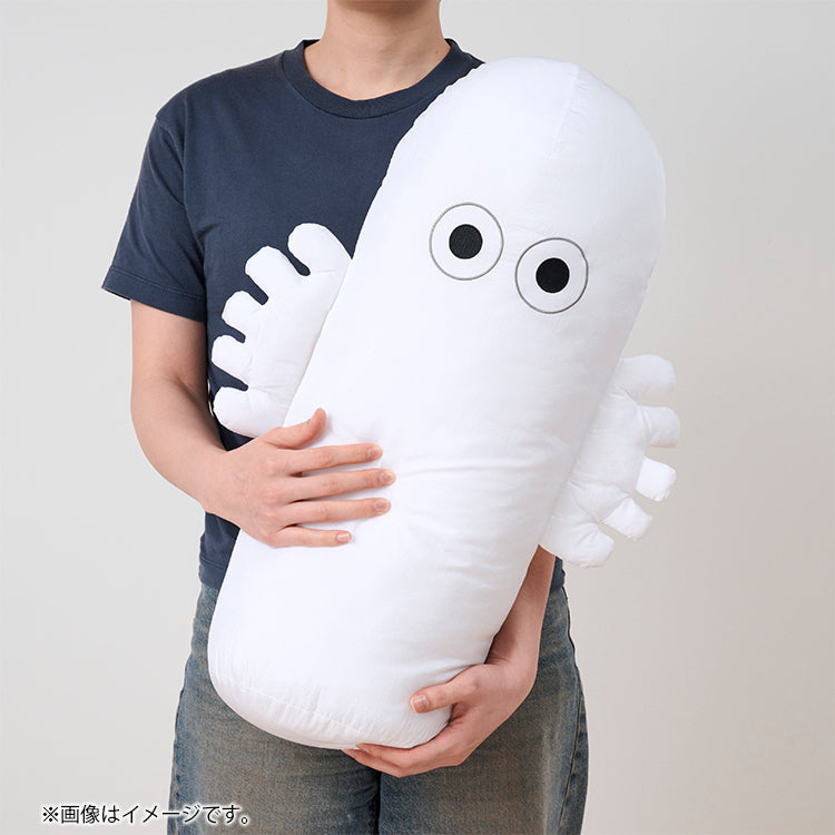 ニョロニョロ大量発生セット（夏至の段）【数量限定】【ラッピング対象外】