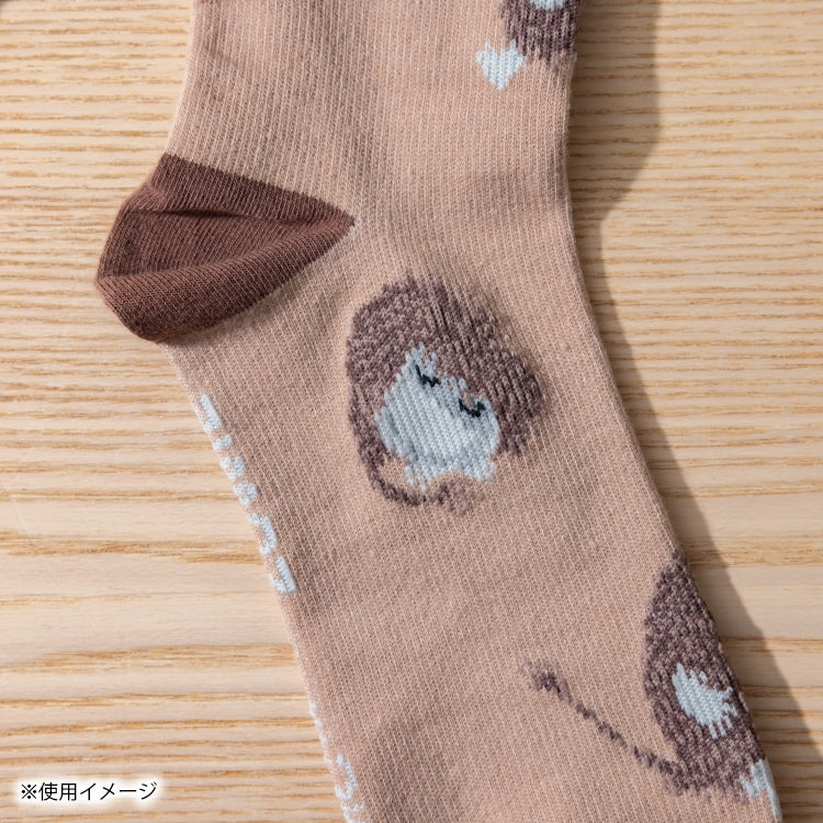 11月中旬頃お届け予定＊ご先祖さま おうち満喫セット【当店限定セット】＜予約商品＞