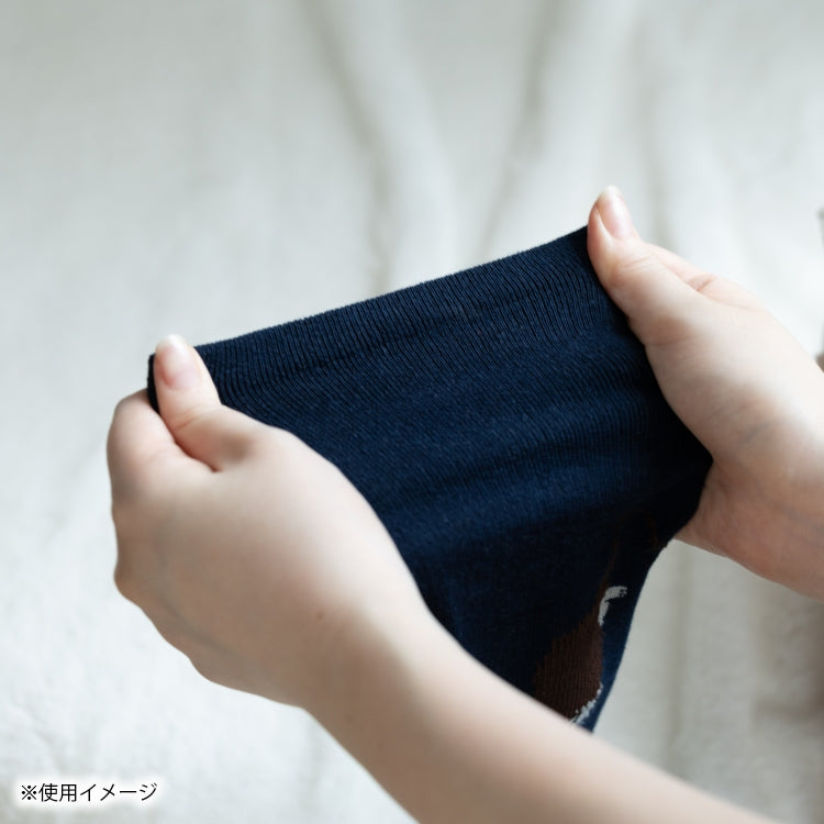 11月中旬頃お届け予定＊ご先祖さま おうち満喫セット【当店限定セット】＜予約商品＞