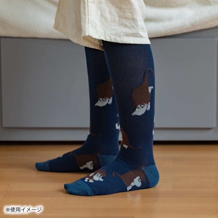 11月中旬頃お届け予定＊ご先祖さま おうち満喫セット【当店限定セット】＜予約商品＞
