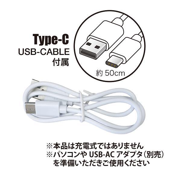 ウッドルームライト（ムーミン）M25-0001