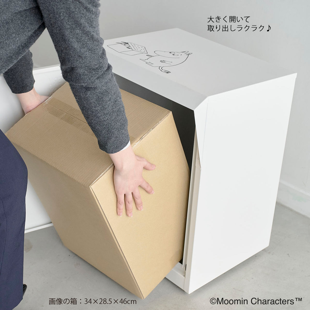Delivery Box M25-0012 [Cash on delivery and combined shipping not available] [Not eligible for gift wrapping] [Not eligible for campaign]