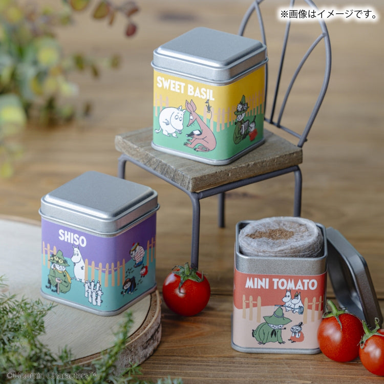 缶入り栽培キット(3種セット)【公式限定】