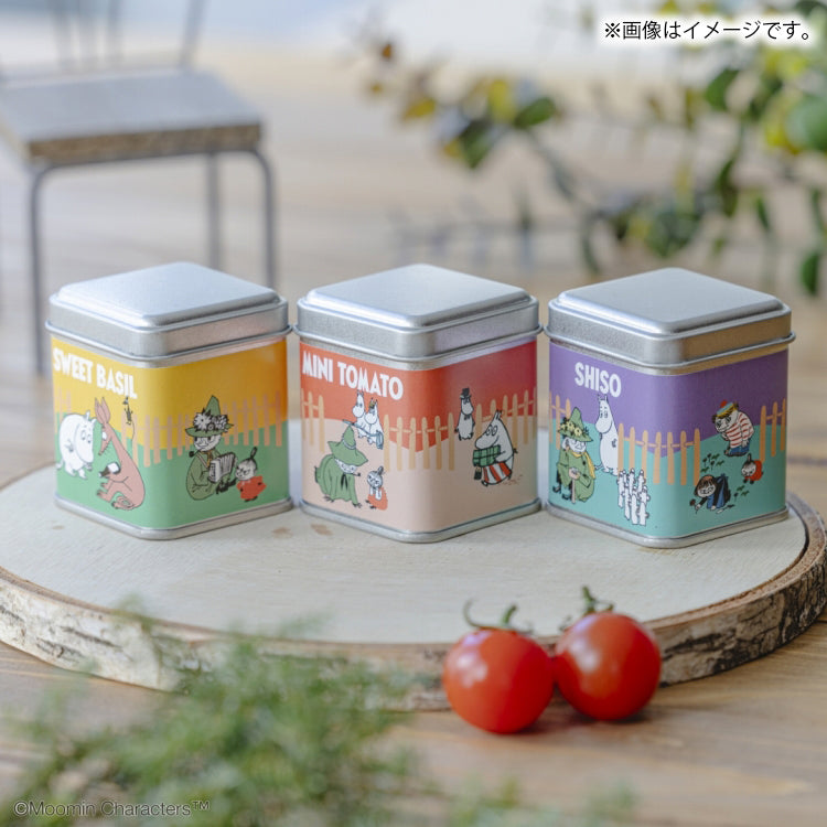 缶入り栽培キット(3種セット)【公式限定】